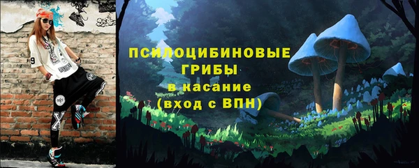 мдпв Нея