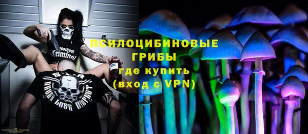 мдпв Нея